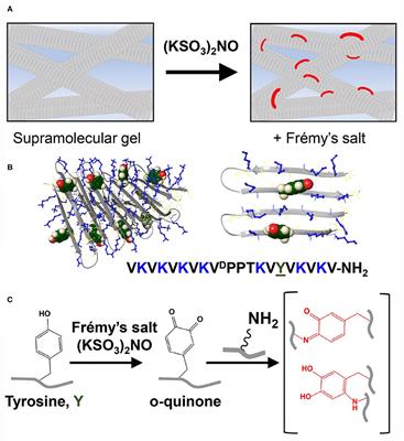 Utilizing Frémy's Salt to Increase the Mechanical Rigidity of Supramolecular Peptide-Based Gel Networks